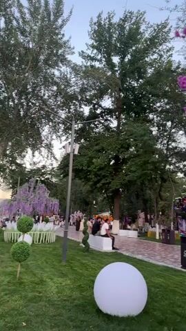 This media file captures a serene park scene, likely in the evening, with soft, ambient lighting. The primary subjects are a few individuals casually seated on a white bench, enjoying the atmosphere. Scattered throughout the park are several large, spherical white lights, adding a whimsical touch to the landscape. 

The setting is a well-maintained park with lush green grass and paved walkways. Tall, mature trees dominate the background, providing shade and a sense of established nature. In the foreground, a large, glowing white orb sits on the grass, a prominent decorative element. To the right, a vibrant display of bright pink flowers, possibly artificial or a flowering tree, adds a splash of color and frames the view. Further into the park, more decorative lights and possibly amusement park rides or stalls are visible, suggesting a lively or festive area beyond the immediate peaceful foreground. 

The time of day appears to be dusk or early evening, with a soft, diffused light and a pale sky. The weather seems pleasant, as people are outdoors and relaxed. The overall emotion conveyed is one of tranquility and enjoyment of public space. There are no discernible text elements within the visible portion of the media. The location context indicates this scene is from Manas, Kyrgyzstan.