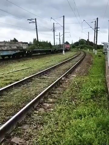The video shows a train moving along a track. The train consists of multiple flatbed cars, some of which appear to be empty and others potentially loaded with cargo. Overhead power lines are visible, indicating an electrified railway. The surrounding environment is overgrown with grass and vegetation, suggesting a rural or semi-abandoned industrial area. The sky is cloudy. The camera is positioned near the tracks, providing a low-angle perspective of the moving train. There are no people visible in the frame. The train appears to be moving at a moderate speed.