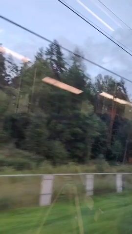 The video shows a blurred view of trees and a cloudy sky from inside a moving vehicle, likely a train, as evidenced by the overhead wires and motion blur. There are some rectangular structures, possibly part of a fence or sound barrier, visible along the edge of a slightly elevated embankment covered in dense green foliage and trees. The sky is overcast with a pale blue hue, and there are streaks of light suggesting movement or reflections on the window. The overall scene is an impressionistic glimpse of a passing landscape.