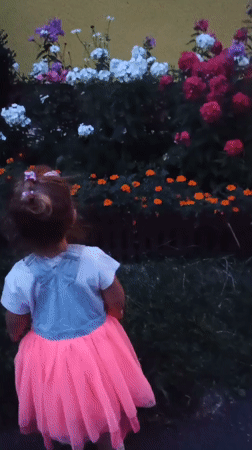 Afternoon stroll through Sokolov's flower gardens turns into evening