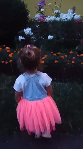 Afternoon stroll through Sokolov's flower gardens turns into evening