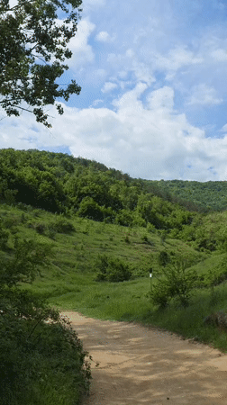 Scenic valley path captured on video in Brestnik, Bulgaria