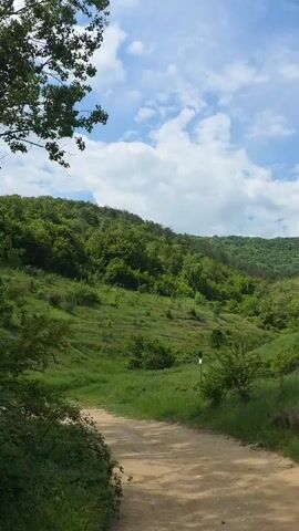The video shows a dirt path leading into a valley on a bright day. The valley is green and lush, with grassy hillsides and trees covering the slopes. The sky is blue with puffy white clouds. The camera slowly pans to the right, revealing more of the landscape.