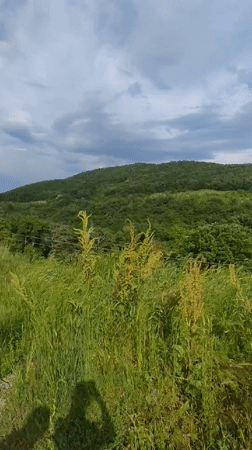 Rural landscape documented in Liaskovo, Bulgaria under cloudy skies