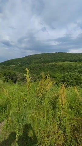 The video shows a view of a green, hilly landscape under a cloudy sky. In the foreground, there is tall grass and weeds. Further in the background, hills covered in trees are visible. The sky has a mix of blue and gray clouds. There is a power line pole visible to the left of the frame. The camera pans slightly to the right and back to the left.