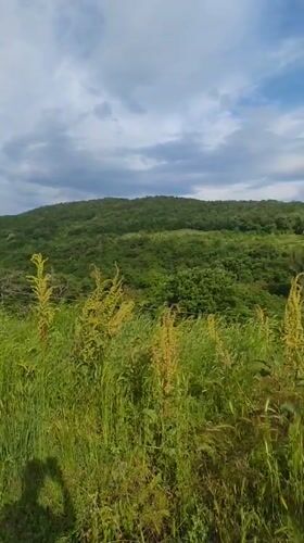 Rural landscape documented in Liaskovo, Bulgaria under cloudy skies