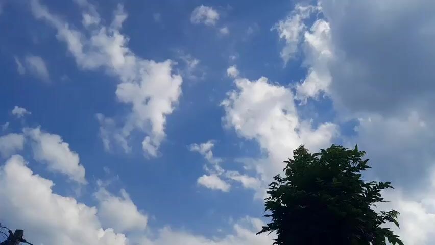 A time-lapse video captures a bright blue sky with scattered white cumulus clouds. A dark green tree with dense foliage is visible in the lower right corner, silhouetted against the sky. A thin, dark object, possibly a fence post, is partially visible in the lower left corner. The clouds drift and change shape across the frame, suggesting the passage of time.