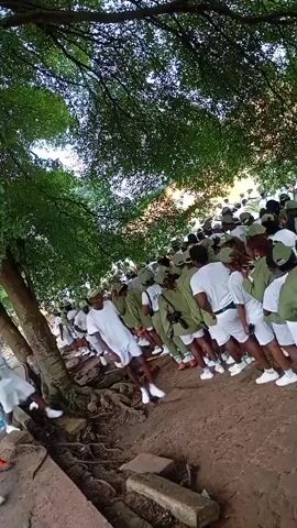 The video shows a group of people in matching uniforms standing in a line outdoors under a tree. They are wearing green and white outfits, with some individuals in white t-shirts and shorts, and others in green shirts and shorts. The ground is dirt and there are some rocks and tree roots visible. The people appear to be mostly young adults, and they are facing in the same direction, suggesting they are part of an organized activity or event. Some individuals are holding water bottles. The overall atmosphere seems casual and relaxed.