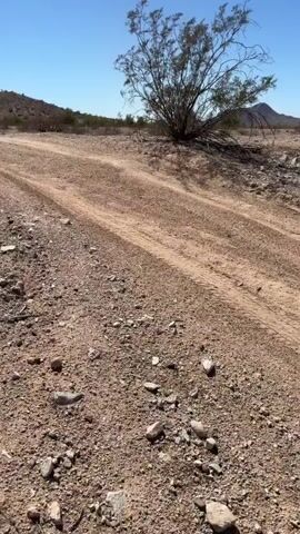 The video pans across a desert landscape. A dirt road with tire tracks leads towards a distant hill. Sparse desert vegetation, including bushes and trees, is visible on either side of the road. The sky is clear and blue.