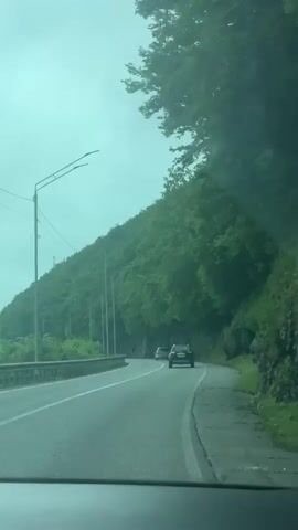 The video shows a view from inside a car driving on a paved road. The road curves gently to the right. A gray guardrail runs along the left side of the road. Streetlights are spaced intermittently along the left side as well. Two cars are visible ahead on the road, driving in the same direction as the camera car. Lush green trees cover a steep hillside rising to the right of the road. The sky is overcast, casting a diffuse light over the scene. The overall impression is one of a peaceful, somewhat foggy drive through a heavily wooded area.
