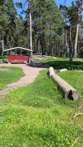 The video shows a group of goats lounging on the ground near a small red building in a wooded area. The goats are white with curved horns. The ground is covered in grass and dirt. There are several trees in the background. The sun is shining.