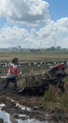 Farmer works rice paddy with tiller in rural area