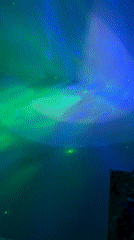 Tabby kitten plays in living room with aurora ceiling projections