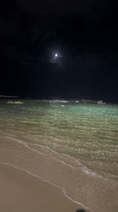 Nighttime beach with glowing green water and gentle waves