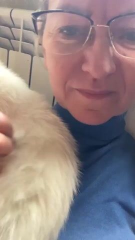 The video shows a person holding a white kitten. The kitten is being petted and stroked by the person's hands. The kitten appears to be very young, with bright blue eyes and pink ears. The person's face is partially visible in the first few frames, and they are wearing a blue shirt. The background is blurred, but it appears to be an indoor setting with a window and a radiator. The kitten is moving around a lot, and the video is somewhat shaky.