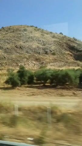 The video shows a view from a moving vehicle looking out at a dry, rocky hillside under a clear blue sky. Sparse, scrubby vegetation, including some small trees, dot the landscape. The ground is covered in dry grass and rocks. The vehicle appears to be traveling along a road, as indicated by a fence or guardrail visible in the foreground and a lighter colored strip of ground that could be the road itself. The motion blur suggests a moderate speed of travel. The overall impression is of a rural, possibly Mediterranean or arid climate.