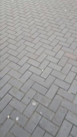 The video shows a wide pedestrian walkway paved in gray bricks in a herringbone pattern, with a lighter gray block pattern at the top of the shot. Several people are walking away from the camera, towards an archway and what appears to be a large stadium in the distance. Banners with the text "HATS & MORE HOME" are visible along the walkway. The sky is overcast. The overall scene appears to be a public gathering space, possibly near a sports venue or event location.