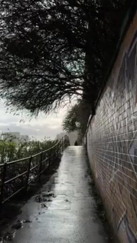 The video shows a wet, narrow walkway flanked by a graffiti-covered brick wall on the right and a metal railing with vegetation on the left. The walkway slopes upward and a dark figure is seen walking away from the camera in the distance. Overhanging trees with bare branches partially obscure the view.  The sky is overcast and buildings are visible in the distance.