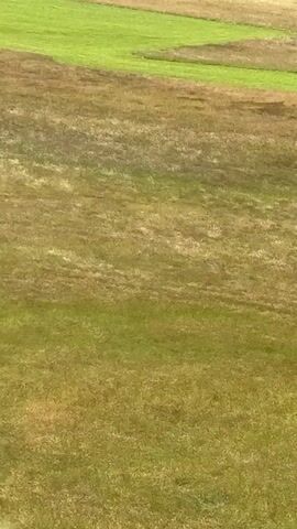 This is a close-up, high-angle aerial view of a vast expanse of grassy terrain. The grass displays a varied texture and color palette, ranging from vibrant green patches to areas of dry, straw-like brown and yellowish hues. The colors suggest a mix of healthy and parched vegetation, possibly indicating seasonal changes or varying water availability across the landscape. The terrain appears somewhat uneven, with subtle undulations and patches of darker soil peeking through. The focus is entirely on the ground, with no discernible objects, people, or structures present. The lighting suggests it is daytime, with soft, diffused light, possibly indicating an overcast sky or early morning/late afternoon sun. The overall impression is of a natural, undeveloped landscape.