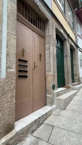 The video showcases a row of buildings with distinct entrances. On the left, there's a double door painted in a brownish hue, featuring a metal grill above and dark letter slots. To the right are two green doors, each accessible by a set of stone steps leading up to them. The buildings have a textured stone facade, and the video appears to be taken on a street with stone pavement.