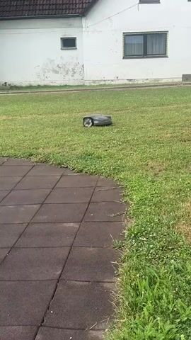 A robotic lawn mower is operating on a green lawn in front of a white two-story house. The house has a brown tiled roof and several windows. A tiled patio area is visible in the foreground. The sky is partly cloudy. The video captures the lawn mower moving across the grass.