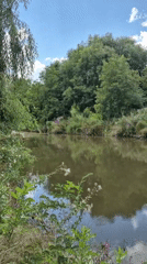 Still water and green banks along a quiet Moldovan river