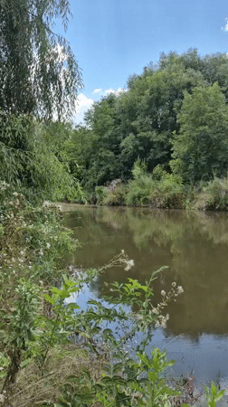 Still water and green banks along a quiet Moldovan river