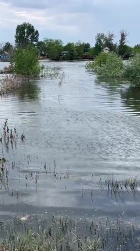 Storm day in Krasnyye Barrikady: flooding, nature, and pets