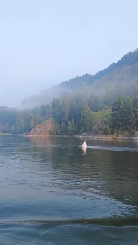The video shows a wide river with a small white boat in the middle. The riverbanks are lined with trees and hills, some of which are partially obscured by fog. The sky is overcast and hazy. The overall atmosphere is serene and peaceful.