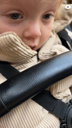 Family visits Italian zoo with toddler viewing exotic animals