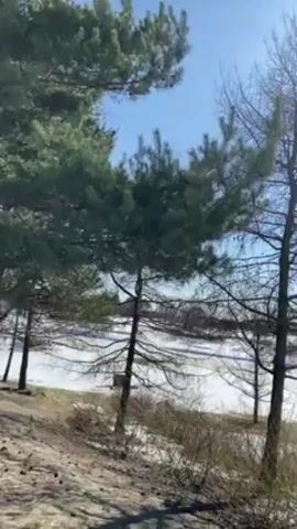 The video shows a landscape view on a sunny day with snow on the ground. The camera pans from left to right, revealing a mix of evergreen and bare trees. Patches of snow cover the ground, with some areas of grass visible. The sky is a clear blue, and the sun is shining brightly.  A paved path runs through the scene.  In the distance, what appears to be a building or structure can be seen through the trees.