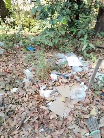 The video shows a wooded area littered with trash. Debris including plastic bags, cardboard, and wrappers are scattered on the ground amidst fallen leaves and vegetation. A wooden post and a broom are visible in the foreground. The trees are dense, and sunlight filters through the canopy. The overall impression is one of an unmaintained and polluted natural environment.