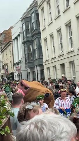 The video shows a crowded street scene with people lining the sidewalks and moving along the road. The buildings lining the street appear to be multi-story and of European architecture, painted in light colors. The sky appears overcast. The crowd seems to be watching a parade. A large, puppet-like figure of a creature with brown fur, large lips, and a pink tongue is moving through the crowd, supported by people underneath it. Many people are wearing floral wreaths on their heads. Some people are holding drinks and musical instruments. Others are taking photos and videos of the parade with their phones. Some individuals are dressed in what appear to be traditional or folk costumes. The words "HASTINGS" are visible on a sign in the crowd. The overall atmosphere seems festive and celebratory.