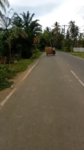 The video shows a man riding a motorcycle with a wooden cart attached to the back. The cart is filled with what appears to be cut wood or wooden planks. They are traveling on a paved road lined with tropical trees and vegetation on both sides. There is a yellow road sign indicating a curve in the road to the left. Another motorcycle passes in the opposite direction. The weather appears cloudy and overcast.