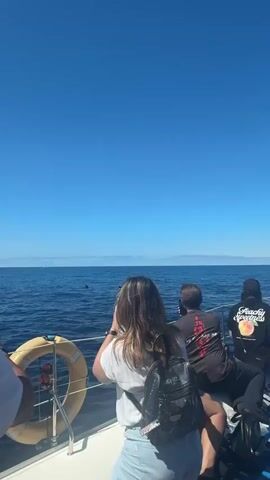 The video shows a group of people on a boat, looking out at the ocean on a sunny day.  The sky is a clear blue, and the water is a darker blue. There are some land features visible on the horizon.  A woman in a white shirt and denim shorts is standing at the railing, taking a photo with her phone.  She has a black backpack on.  Next to her, a man in a black t-shirt is also looking out at the ocean.  There is a life preserver on the railing of the boat.