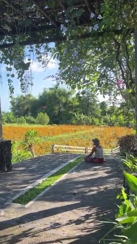 Orange marigold field draws visitors in Banjarangkan, Indonesia