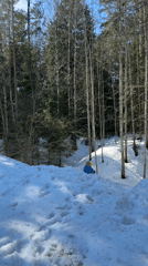 Winter morning activities documented across Prikamskii, Russia