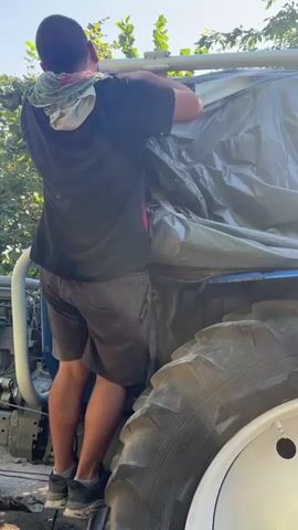 A man is standing on the tire of a blue tractor, with his back to the camera. He is wearing a black t-shirt, grey shorts, and black sneakers. A multicolored cloth is draped around his neck. He is holding a gray tarp over the tractor. The tarp is partially covering the tractor's roof and sides. The tractor has a large wheel with a white rim. The background shows green foliage and a bright sky. The man appears to be securing the tarp.