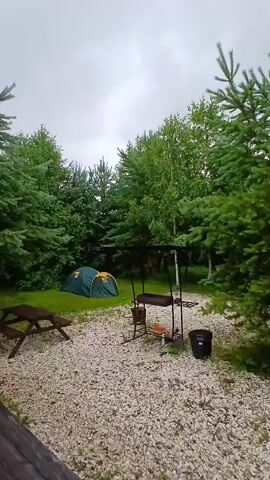 The video shows a campsite with a green and yellow tent set up on the grass. There is a picnic table to the left of the tent. In the center of the frame is a barbecue grill with a fire pit and some cooking utensils. A black bucket sits next to the grill. The ground is covered in light-colored gravel. The area is surrounded by lush green trees, including pine trees and deciduous trees. The sky is overcast, suggesting cloudy or rainy weather. The video appears to be a static shot, with no movement or people visible.