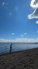 Daily life moments captured across Noviy, Russia morning hours