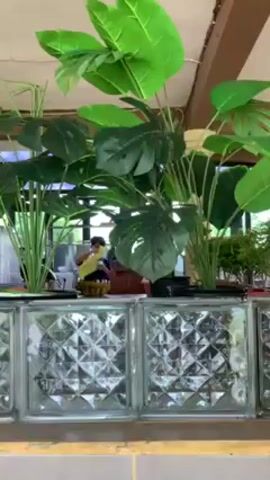 Here is a concise description of the video:

The video shows the counter of a cafe or restaurant. The counter is made of glass blocks and topped with light colored concrete. Behind the counter, a person wearing a black shirt can be seen. The counter is decorated with large artificial plants, including Monstera leaves.

To the left of the counter, a menu is attached to a wooden support. The menu lists various items such as snacks, coffee, chocolate, and milk, and features several pictures of menu items. 

The general environment appears to be bright and airy, with natural light coming in from windows or openings.  The ceiling is visible, revealing a brown exposed-beam structure.