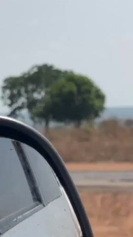 The video shows a view from inside a car, looking out the side mirror and then out the front windshield. The car is driving on a road with dry, brown fields on either side. There are some trees and small buildings visible in the distance. The sky is overcast. The road is paved and appears to be in decent condition. Another white vehicle is seen in the car's side mirror.