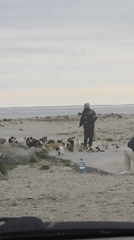 Person observed at Varna beach under overcast skies