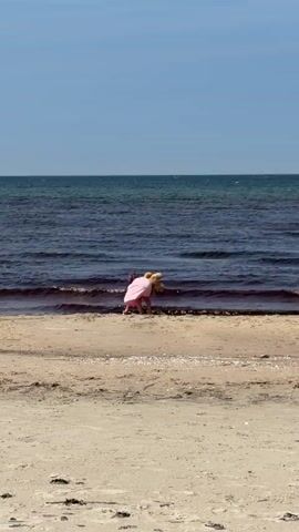 A person wearing a pink dress and a yellow hat is walking along the edge of the water on a sandy beach. The person bends down to the ground near the water's edge. They are facing away from the camera. The ocean is dark blue with some waves. The sky is clear and blue.