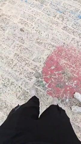 From a first-person perspective, the video starts with a view of the ground, a paved surface with some paint markings. The camera then pans up to reveal a wide expanse of water under a cloudy sky. Birds are flying overhead. The edge of the pavement is visible, showing some signs of wear and graffiti.