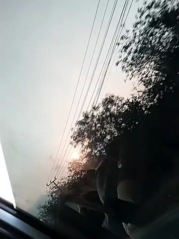 A view from inside a vehicle shows a hazy sky with power lines crisscrossing above. On the right side of the frame, dark trees are visible, their leaves blurred by motion. In the distance, a bright light, possibly the sun, is partially obscured by trees and foliage. The overall scene suggests a drive through a rural or suburban area during twilight or a day with heavy atmospheric haze.