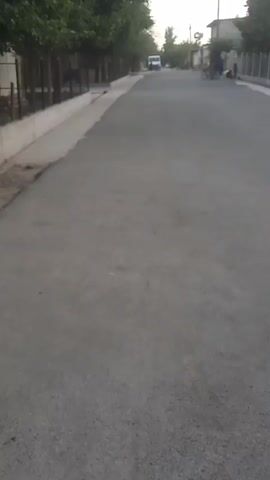 A low-angle, shaky video shows a paved road in a residential area. Trees line the left side of the road, behind a low wall and fence. A few buildings are visible on the right side of the road, along with parked bicycles and people standing. A white van is driving away from the camera down the road. The lighting suggests it is either early morning or late evening.