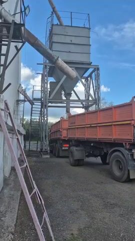 Two large orange trucks are positioned under a gray industrial silo. A conveyor belt extends from the silo, with material appearing to be unloaded into the trucks. A blue Kamaz truck is parked in the foreground, facing the silo. The ground is covered in gravel. The sky is blue with scattered clouds.