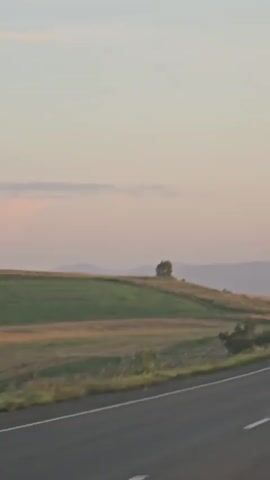 The video shows a view from a moving car on a paved road. The road has white dashed lines. The landscape on either side of the road is mostly grassy fields with some trees and rolling hills in the distance. The sky is a pale gradient of pink and blue, suggesting either sunrise or sunset. A single tree stands on a hill in the mid-ground. In the distance, on the road, a black car with headlights on is visible. The video is short and appears to be a continuous shot.