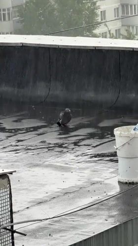 Rainy morning scenes captured in Naberezhnye Chelny, Russia